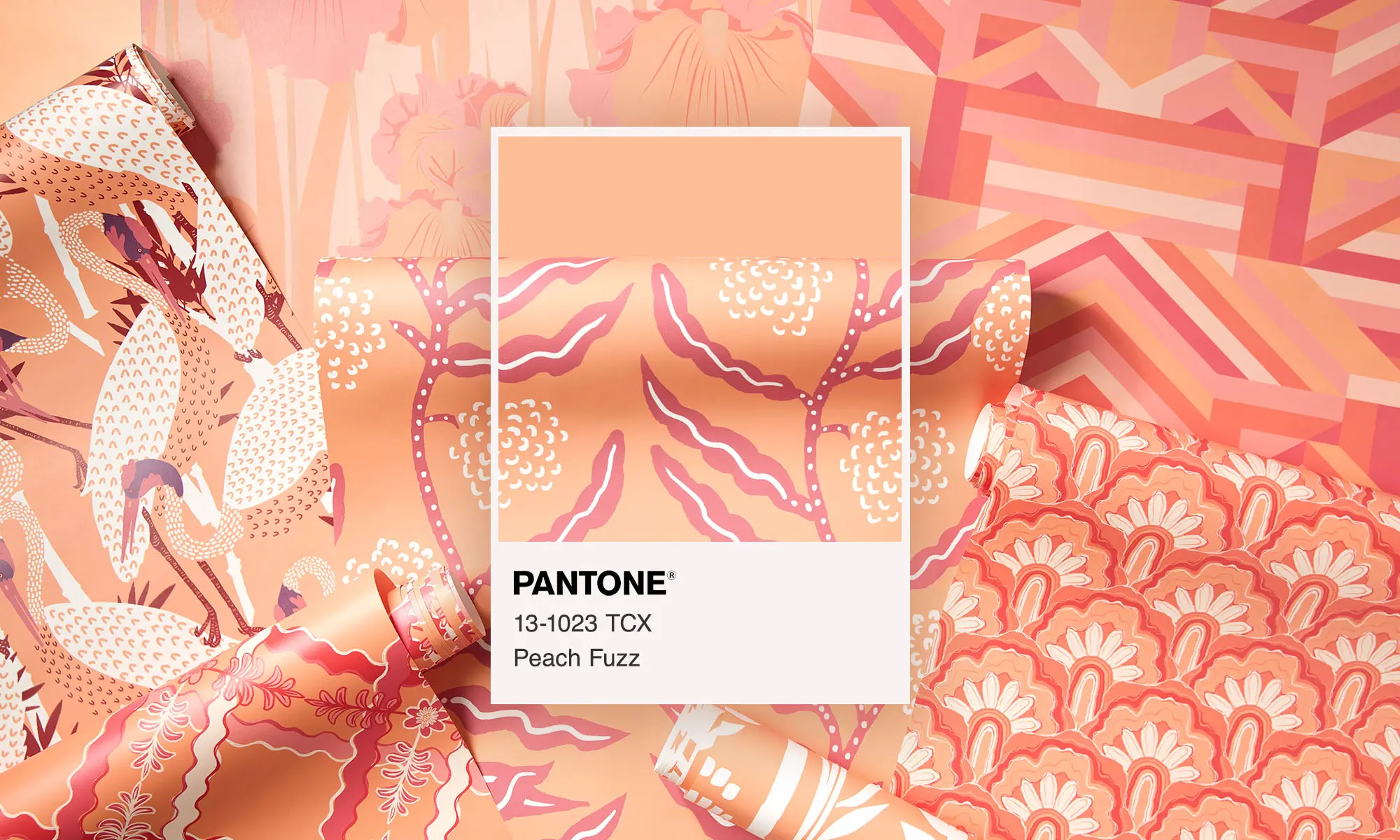 A laydown of peach fuzz theme wallpaper. The center has a wallpaper swatch of the color.